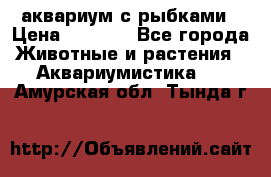 аквариум с рыбками › Цена ­ 1 000 - Все города Животные и растения » Аквариумистика   . Амурская обл.,Тында г.